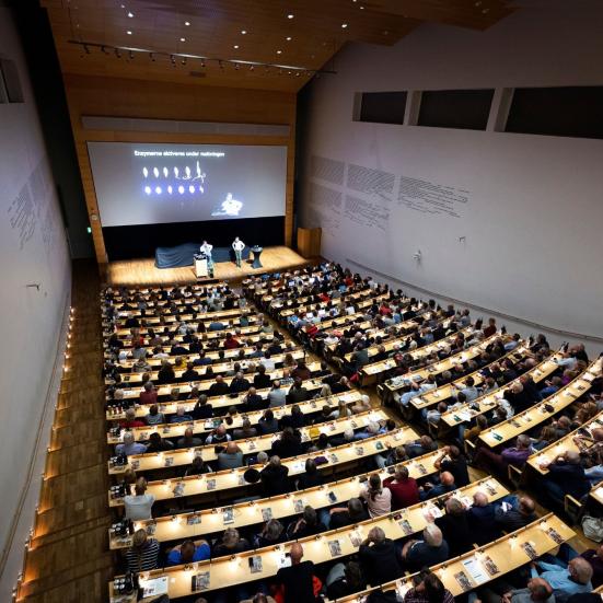 Foredrag i auditorium 