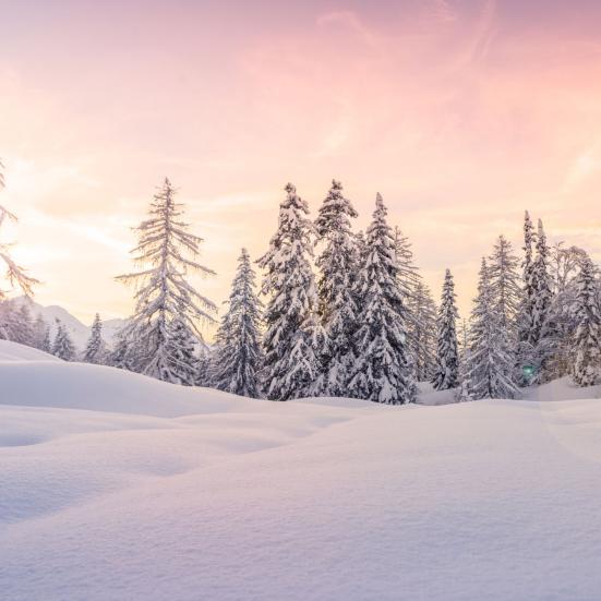 Velhaverville ved mørkets frembrud