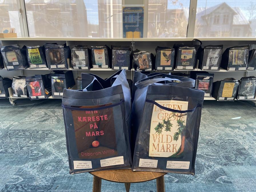Et billede af to romanposer i forgrunden. I baggrunden kan man se de reoler hvor man kan finde romanposerne på Aabenraa Bibliotek.